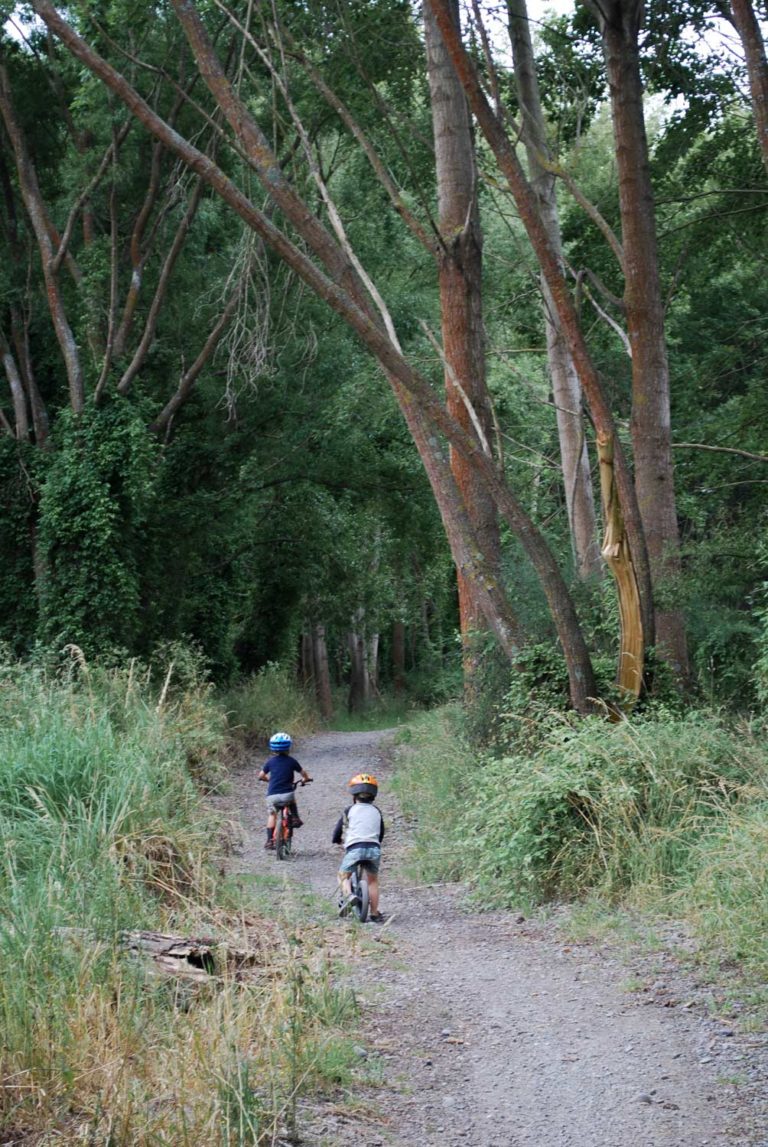 Perfect for family and young children, the Ashburton River Trail is a safe and easy bike or walk for everyone