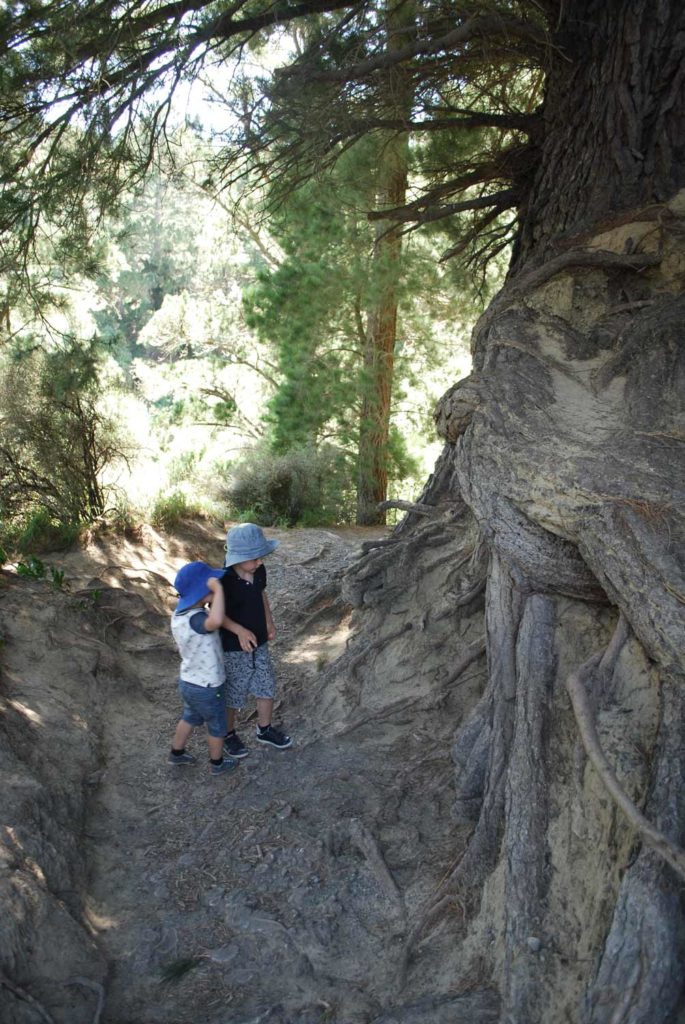 Rakaia Gorge Walkway: A great short walk for the whole family // Backyard Travel Family