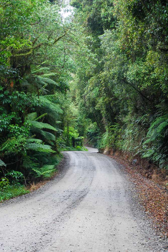Beautiful offroad drive through native bush to Lake Kaniere and Dorothy Falls, West Coast, New Zealand I Backyard Travel Family