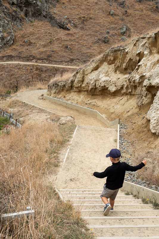 Nathan from Backyard Travel Family runs down the stairs on the Godley Heads Track, Canterbury, New Zealand