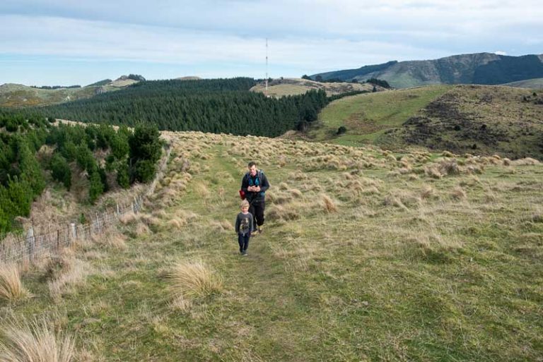 Kipton and Ashley from Backyard Travel Family emerge from the forest into open field on the Packhorse Hut Track / Best Overnight Hike for kids in Christchurch, NZ