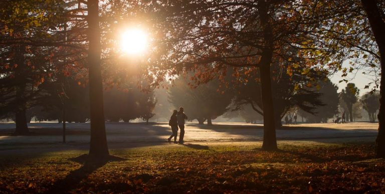 Sunsetting in Hagley Park, photo by ChristchurchNZ