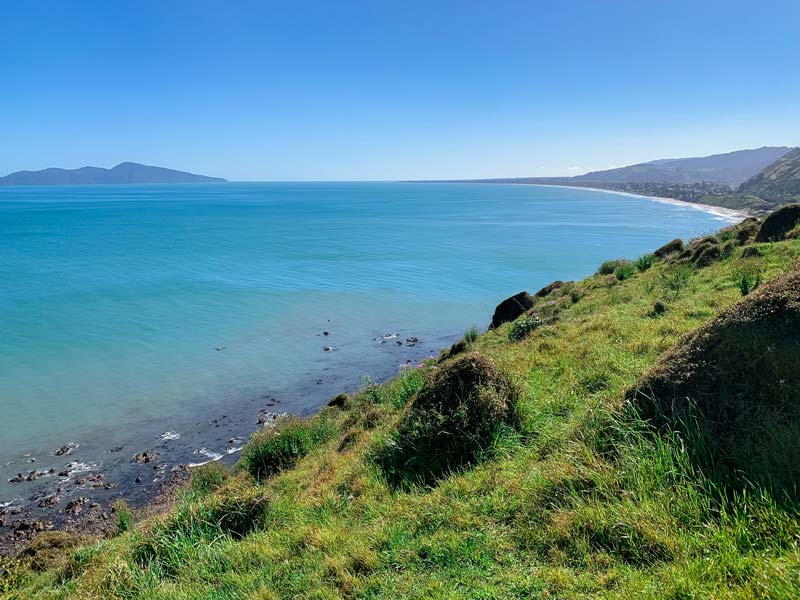 Paekakariki Escarpment Walk with Kids: NZs Stairway to Heaven