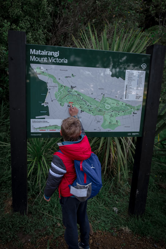 Nathan from Backyard Travel Family finds where we are on the Mt Victoria Track Map, Wellington