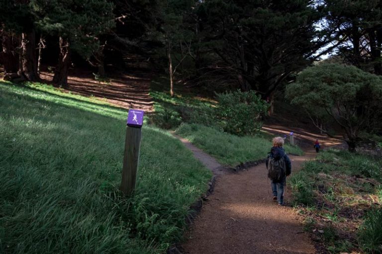 Kipton from Backyard Travel Family follows the purple markers through the bush to the Mt Victoria Summit Lookout