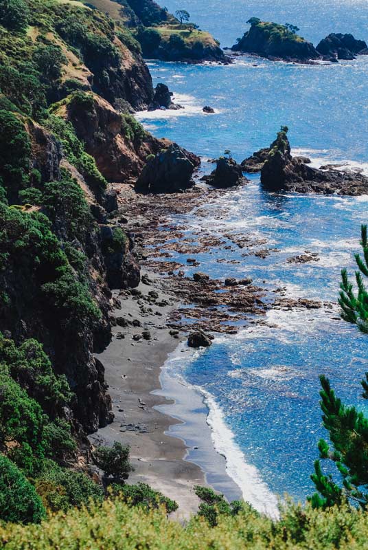 Rugged coastline and waves on the Mahinepua Peninsula Track