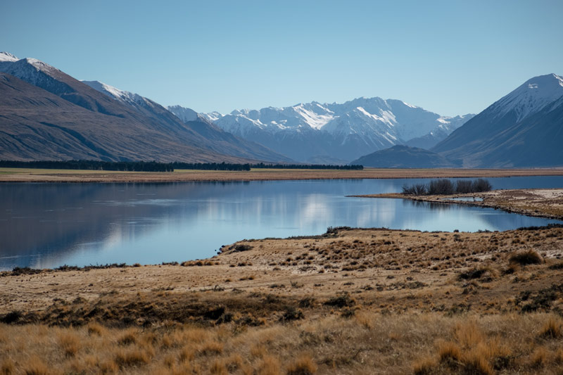 view of lake heron from Lake hill track in the Ashburton Lakes