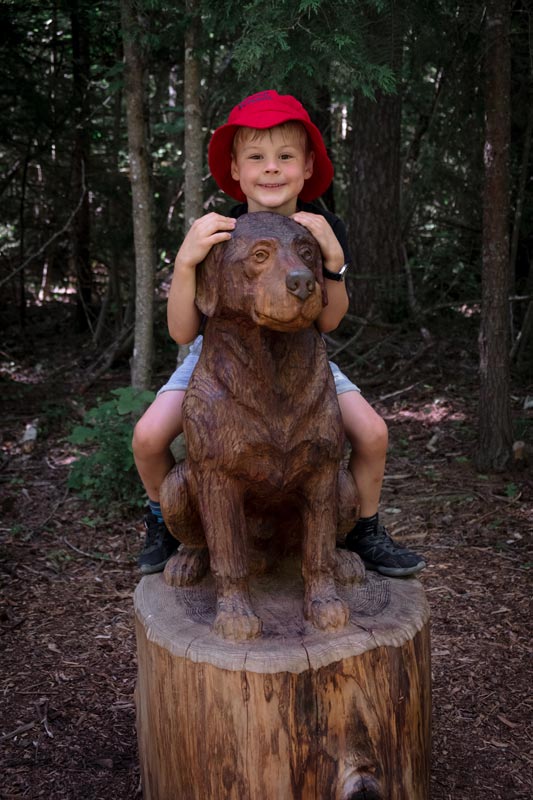 Nathan finds a wooden dog sculpture at the beginning of the Forest Amble Walk, Canterbury