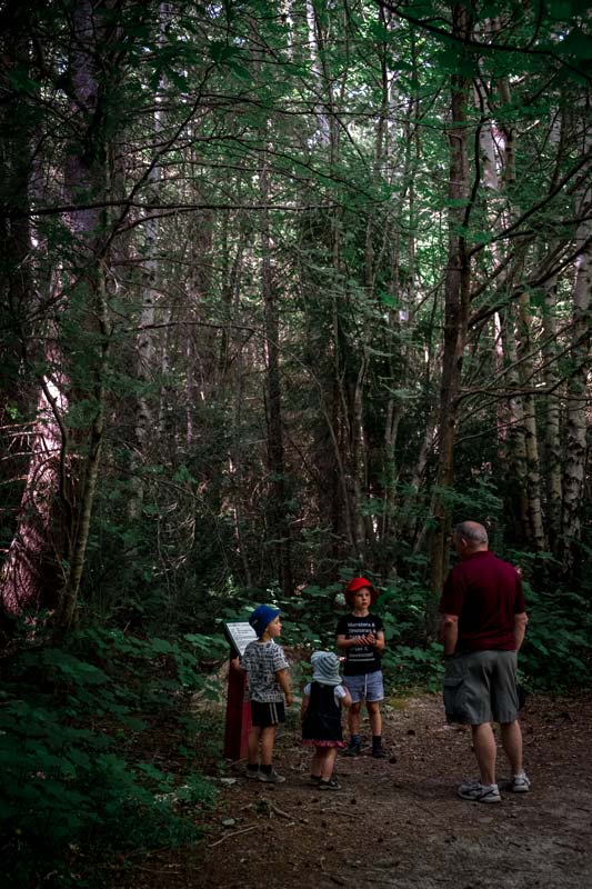 Backyard Travel Family Grandad talks to his grandchildren about the native trees on the Forest Amble Walk