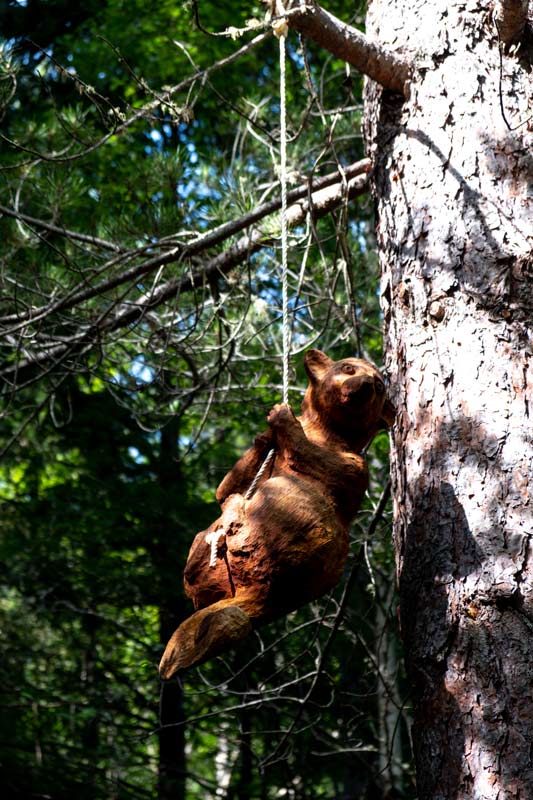 Wooden sculpted possum swings in the tree on the Art in the Forest Walk, Hanmer Springs