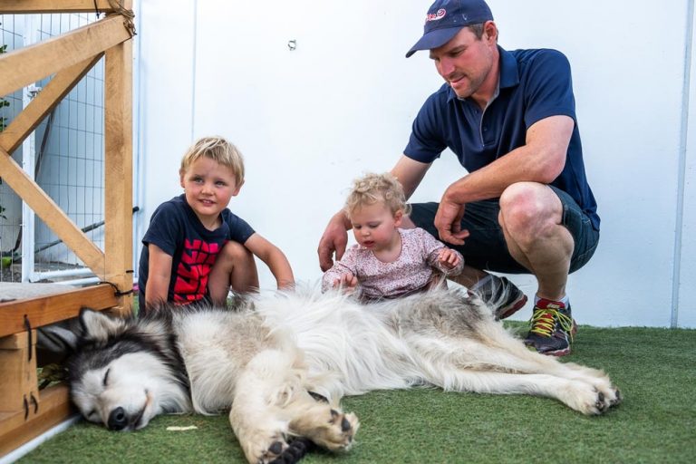 Backyard Travel Family pat a sleeping husky dog at the International Antarctic Centre, Christchurch