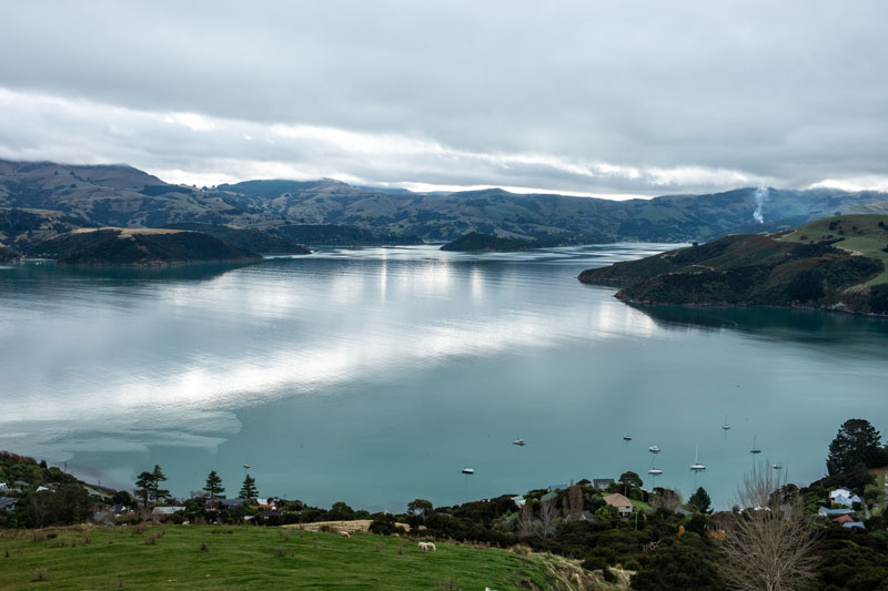 Beautiful view of the blue water of Akaroa Harbour