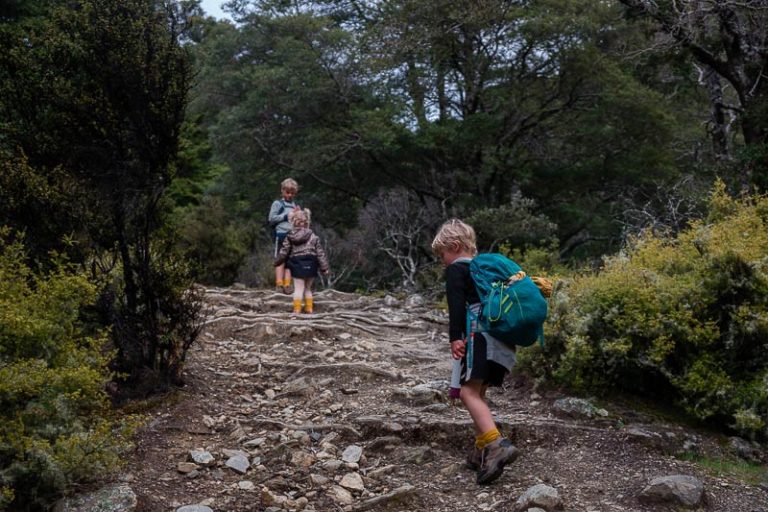 three children tramp through the bush, up a rocky tree root section of the Isthmus Peak hike