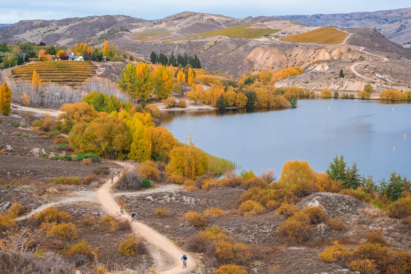 Overhead view of the Lake Dunstan Cycle Trail weaving around the lake edge in Autumn