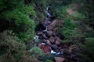 Wide angle of sharplin falls nested in between the trees. its a small to moderate size waterfall filled with rocks