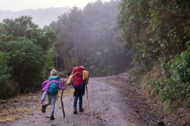 kid walk on the 4wd mt fyffe track in the mist