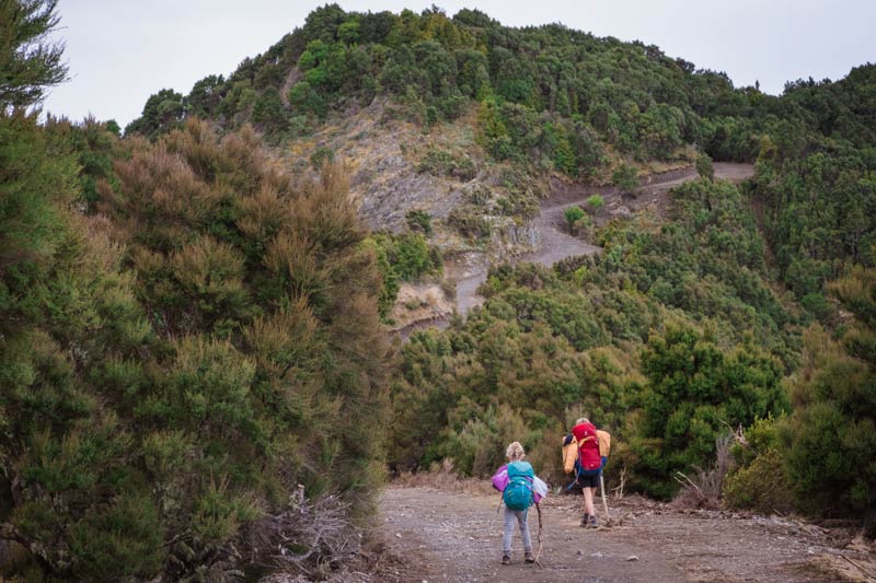 two kids walking up the mt fyffe track kaikoura