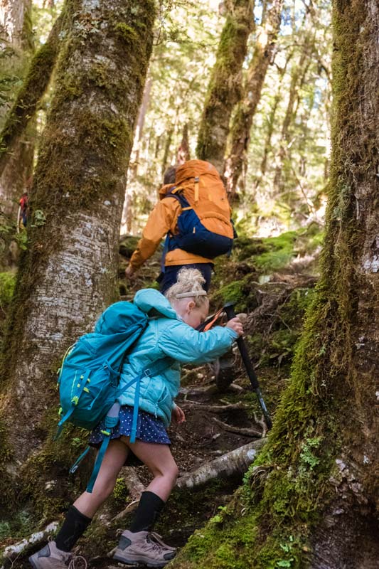 Kids climb up the steep track up to Brewster Hut Wanaka