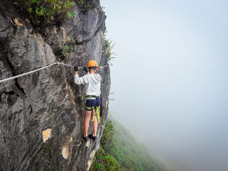 kids stands on the steel rungs on the takaka hill via ferrata course in Nelson