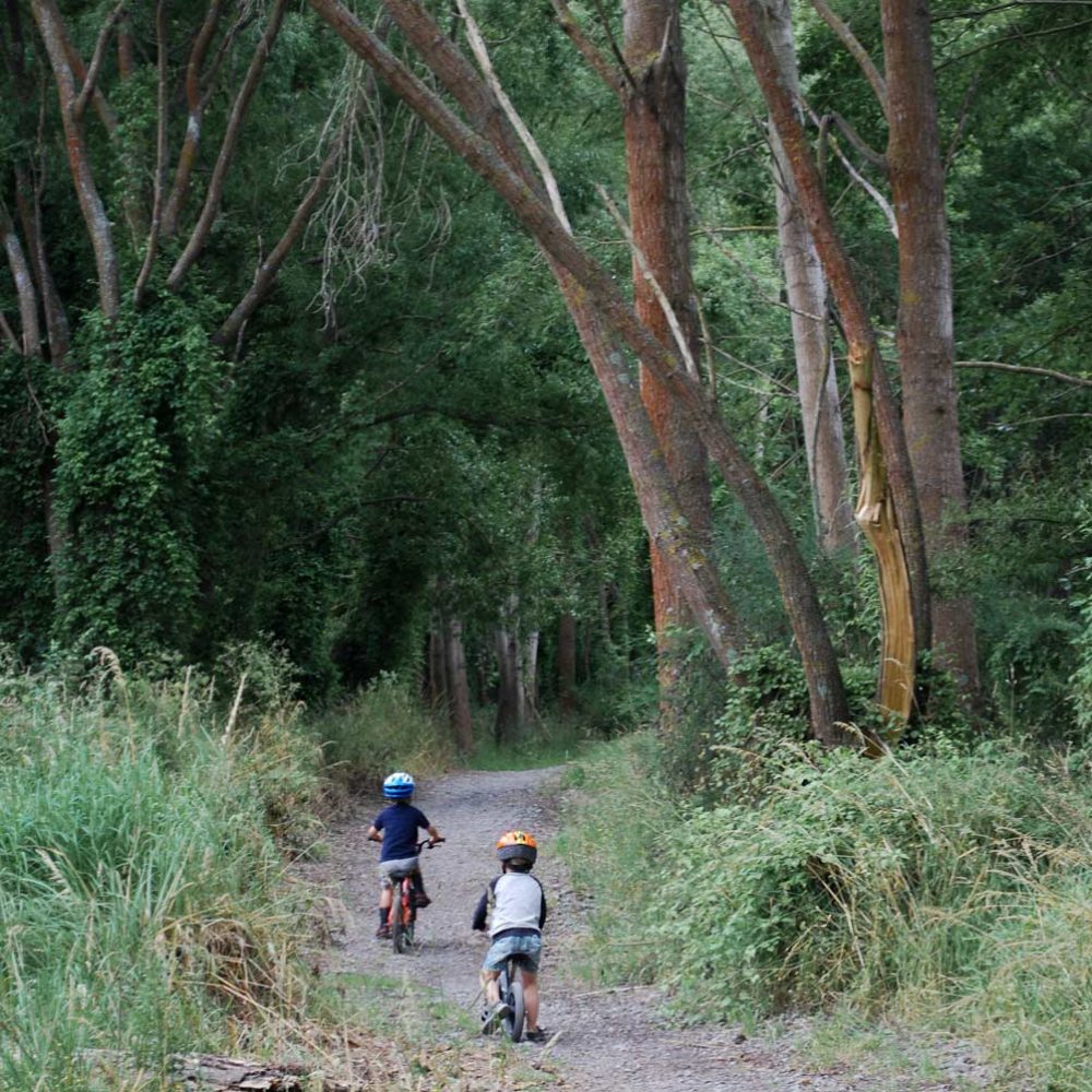 Perfect for family and young children, the Ashburton River Trail is a safe and easy bike or walk for everyone